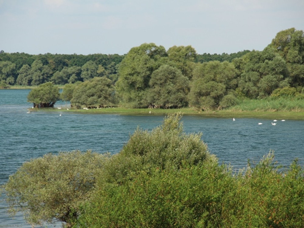 Forêt d'Orient meer