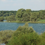 Afbeelding voor Forêt d'Orient