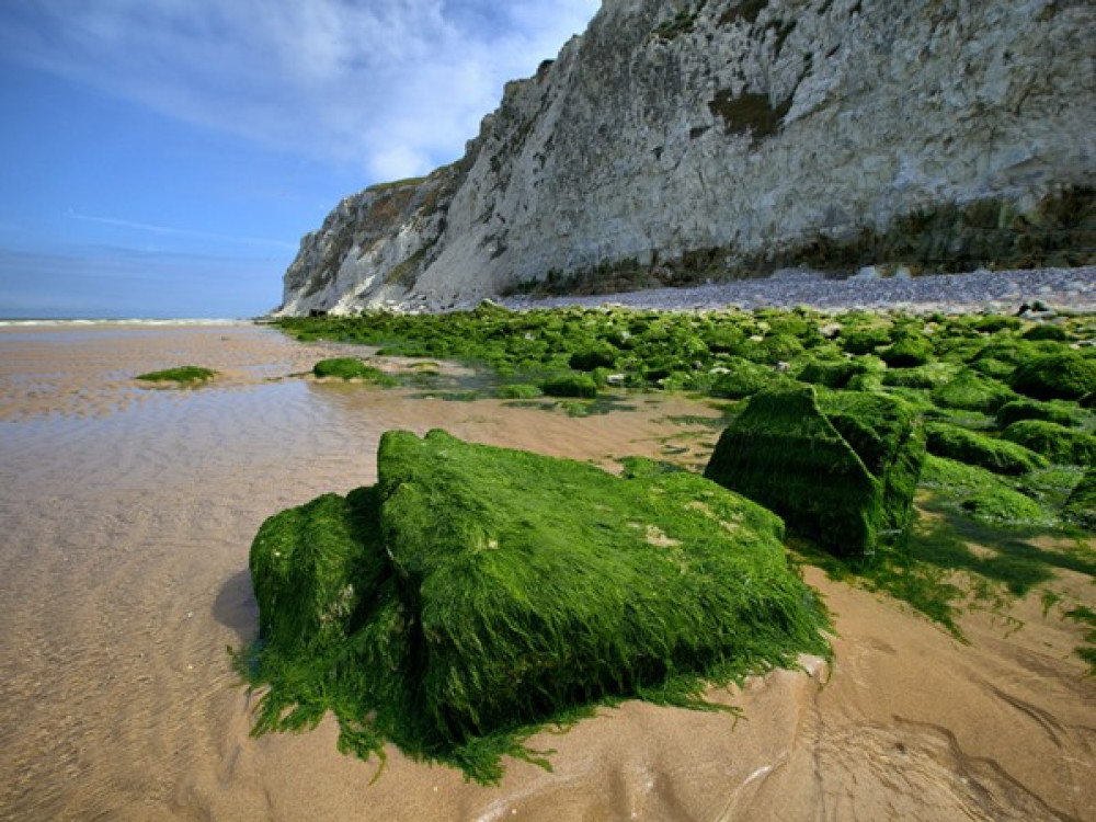 Nord-Pas-de-Calais