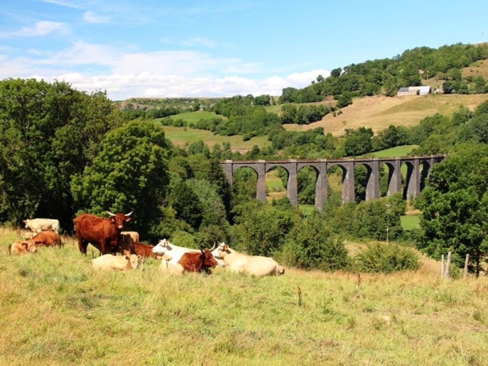 Landschap Auvergne