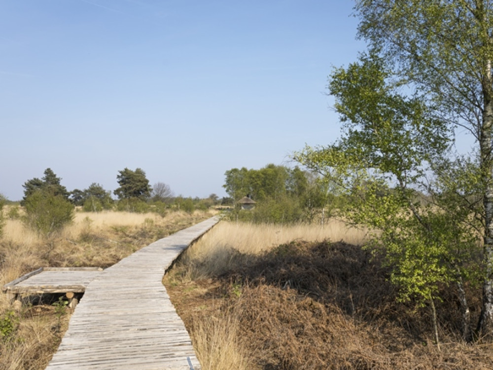 Knuppelpad Groote Peel