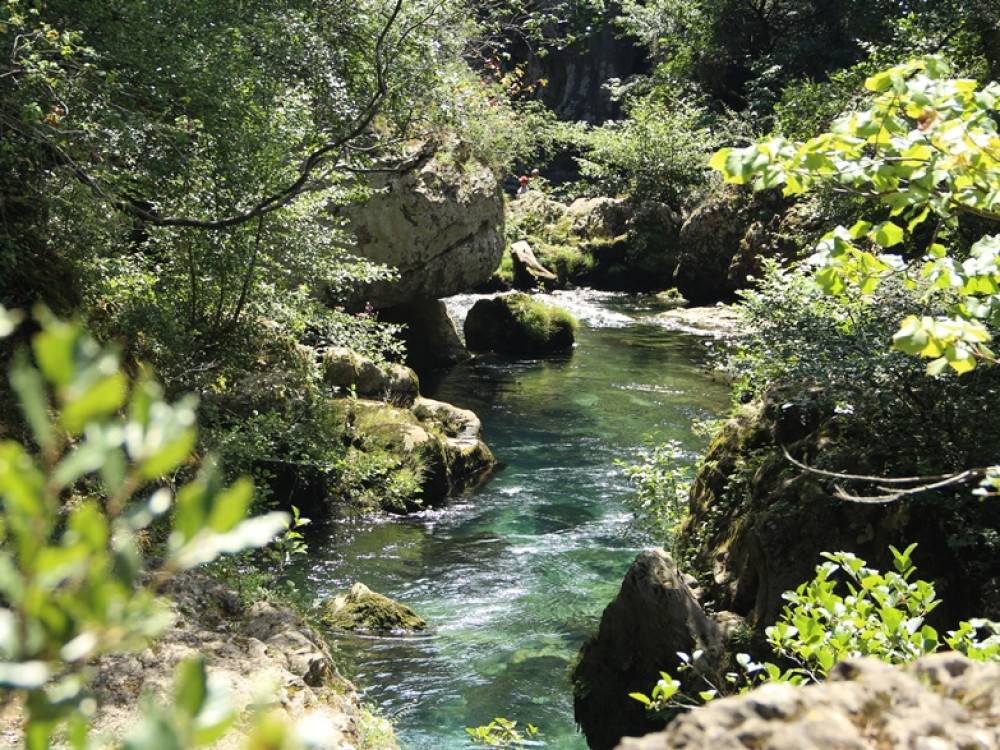 Rivier de Vis