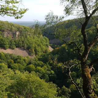 Afbeelding voor Söderasen Nationaal Park