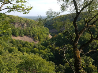 Afbeelding voor Söderasen Nationaal Park