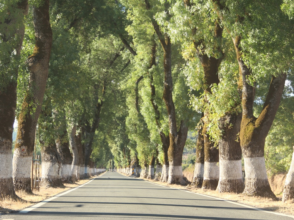 Weg naar Marvão