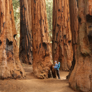 Afbeelding voor Sequoia National Park