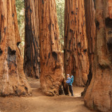 Afbeelding voor Sequoia National Park