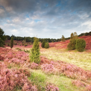 Afbeelding voor Natuur rond Hannover