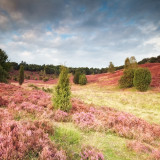 Afbeelding voor Natuur rond Hannover