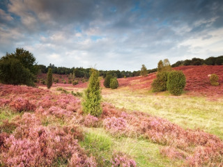 Afbeelding voor Natuur rond Hannover