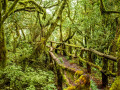 Gomera