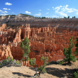 Afbeelding voor Bryce Canyon