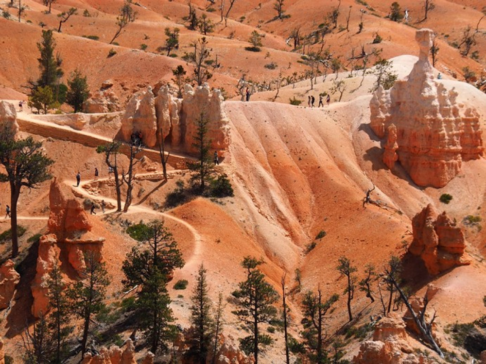 Wandelen Bryce