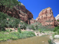 Zion national park