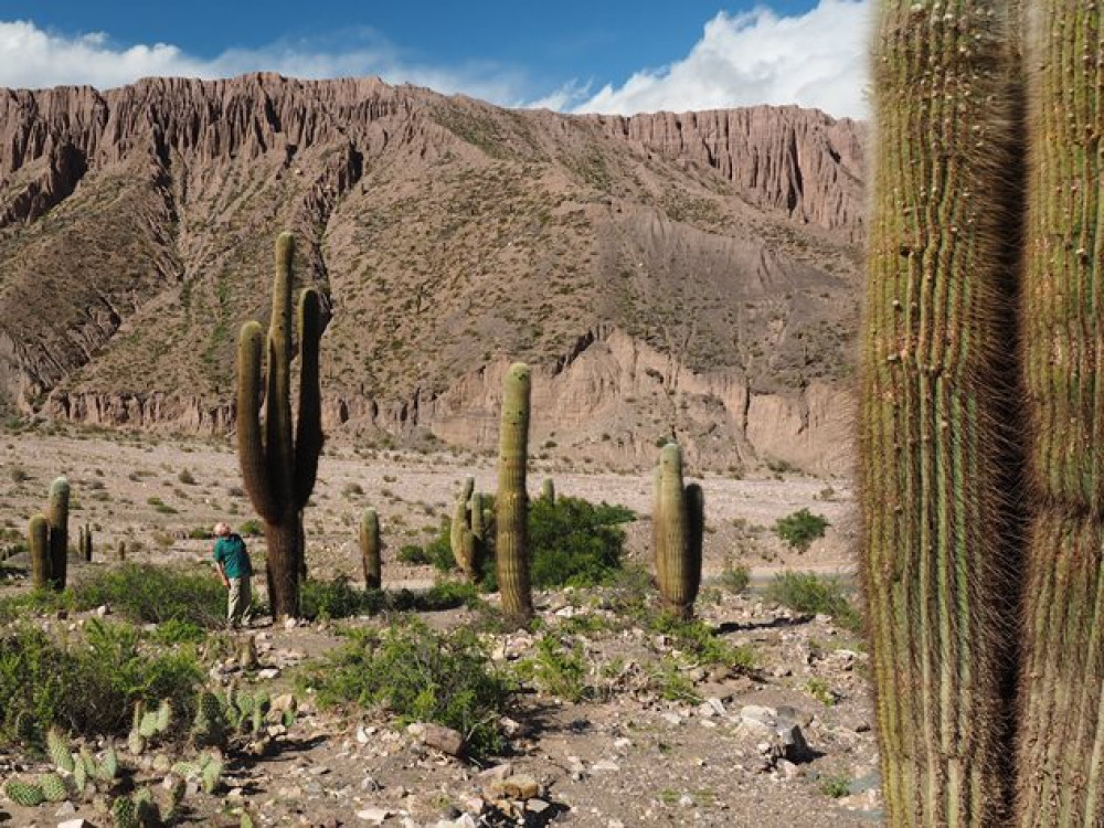 Paso de Jama