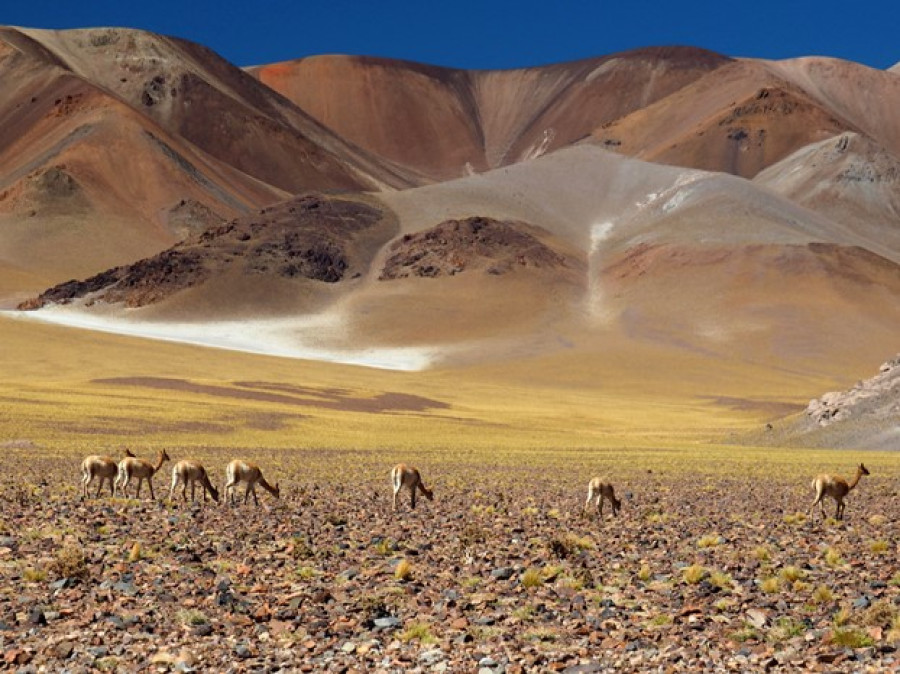 Mooie plek Argentinië