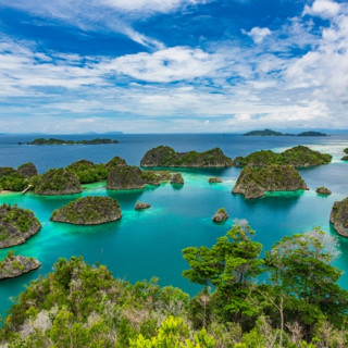 Afbeelding voor Indonesisch Papua