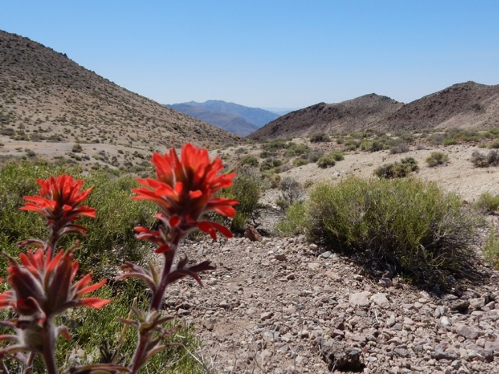 Death Valley