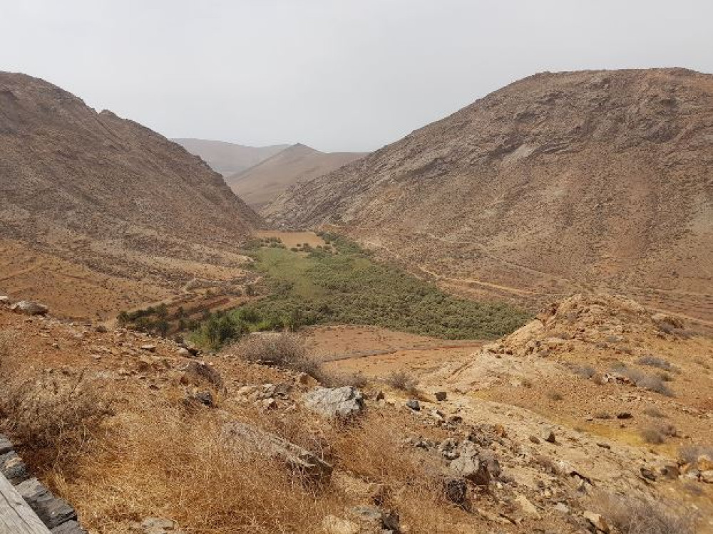 Natuur Fuerteventura