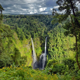 Afbeelding voor Bolaven Plateau Laos