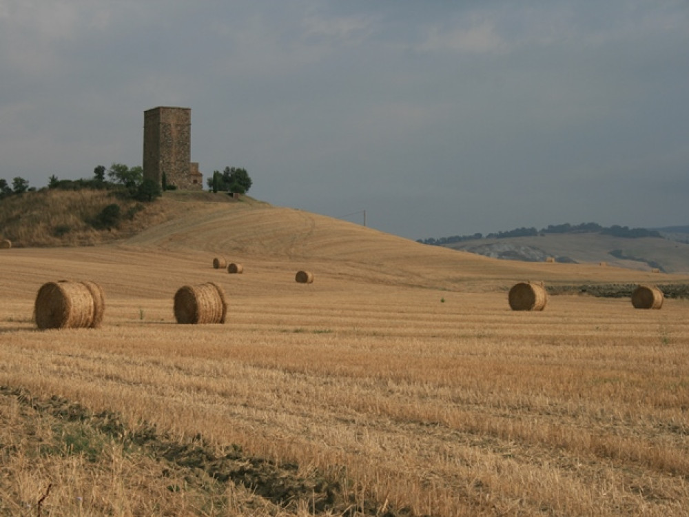 Landschap