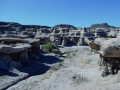 Natuur New Mexico