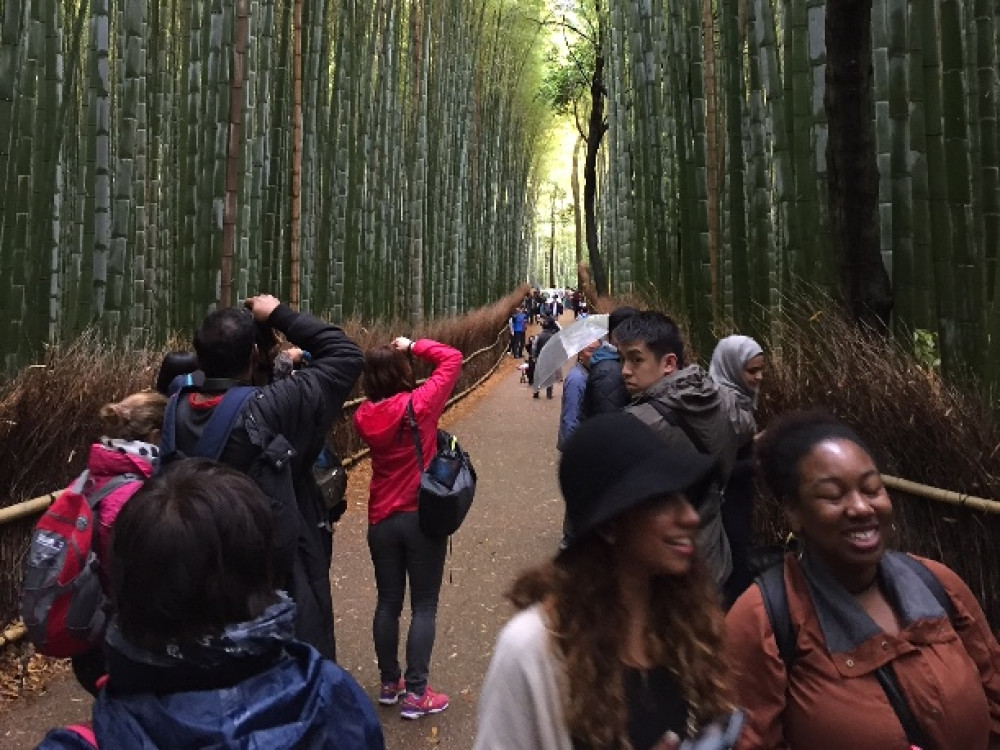 Arahiyama bamboebos
