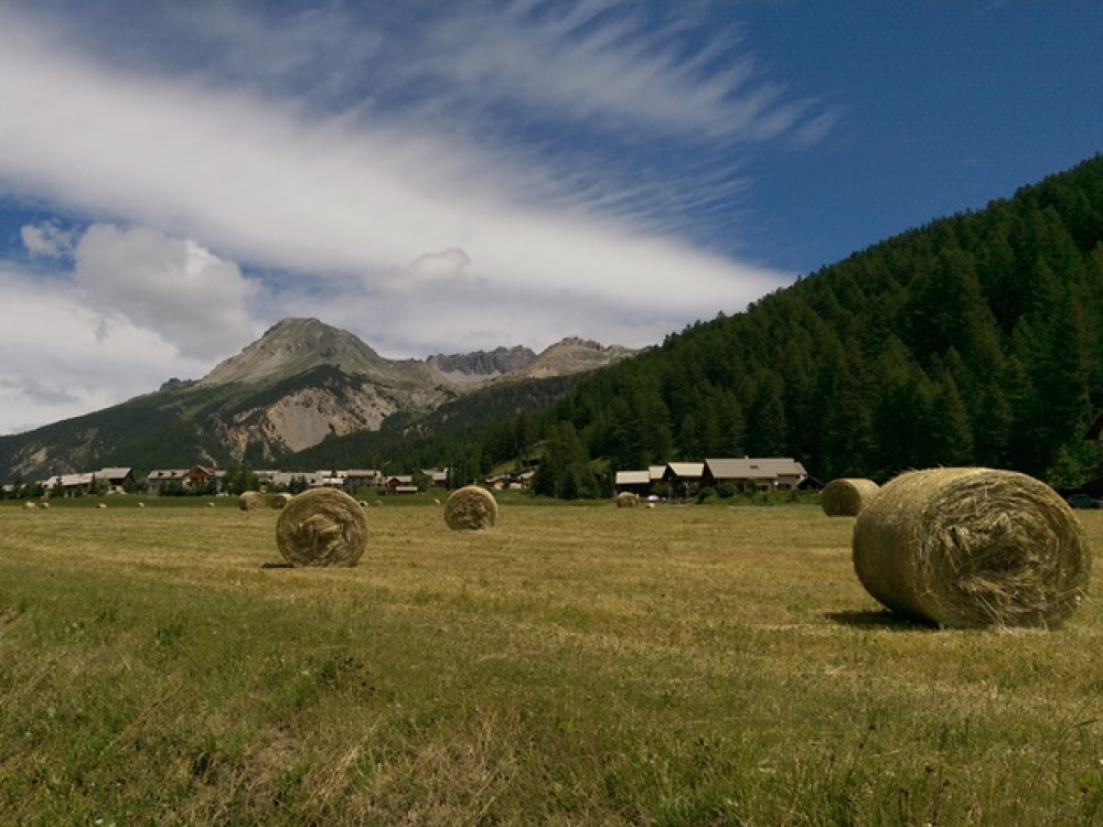 Natuur Franse Alpen