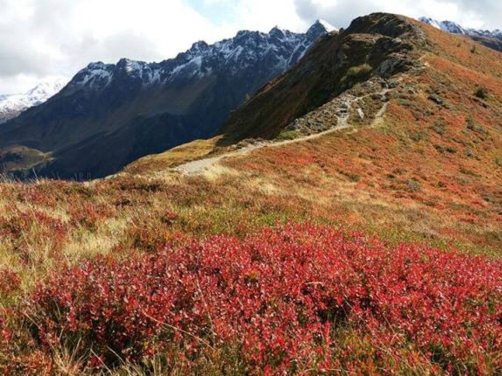 Tirol natuur