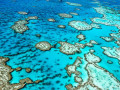 Great barrier rif