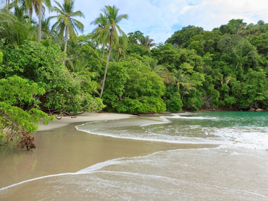 Natuur Costa Rica