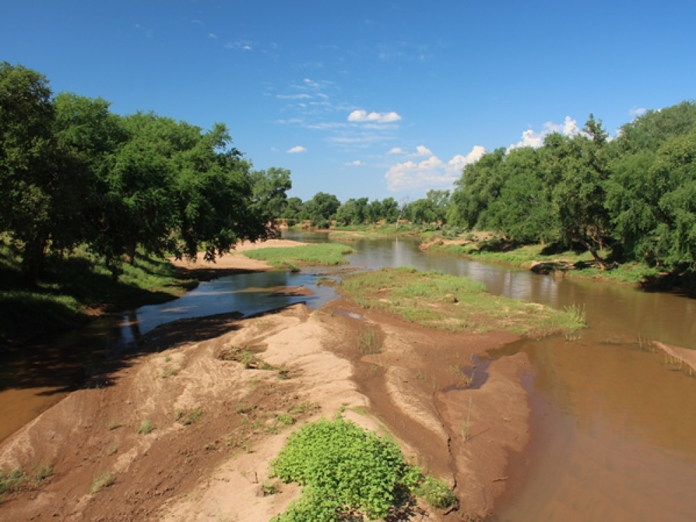 Natuur in Kruger