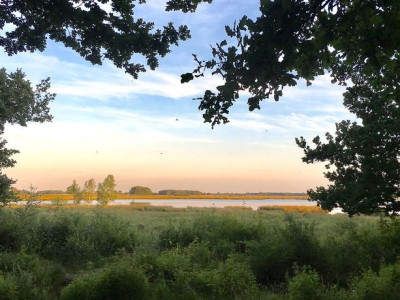 Afbeelding bij Dwingelderveld