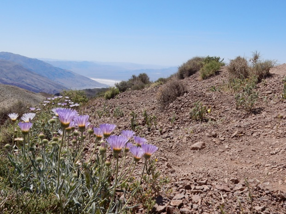 Death Valley