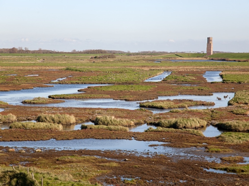 Zeeland moeras