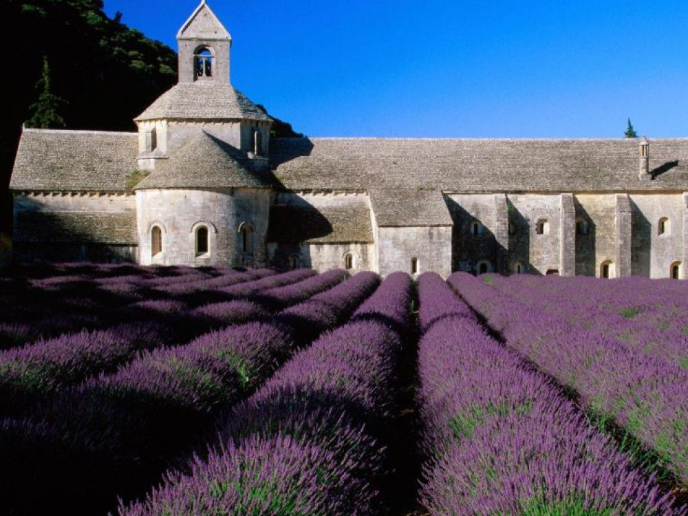 Abbaye de Sénanque, Gordes