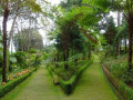 Monte Gardens Madeira