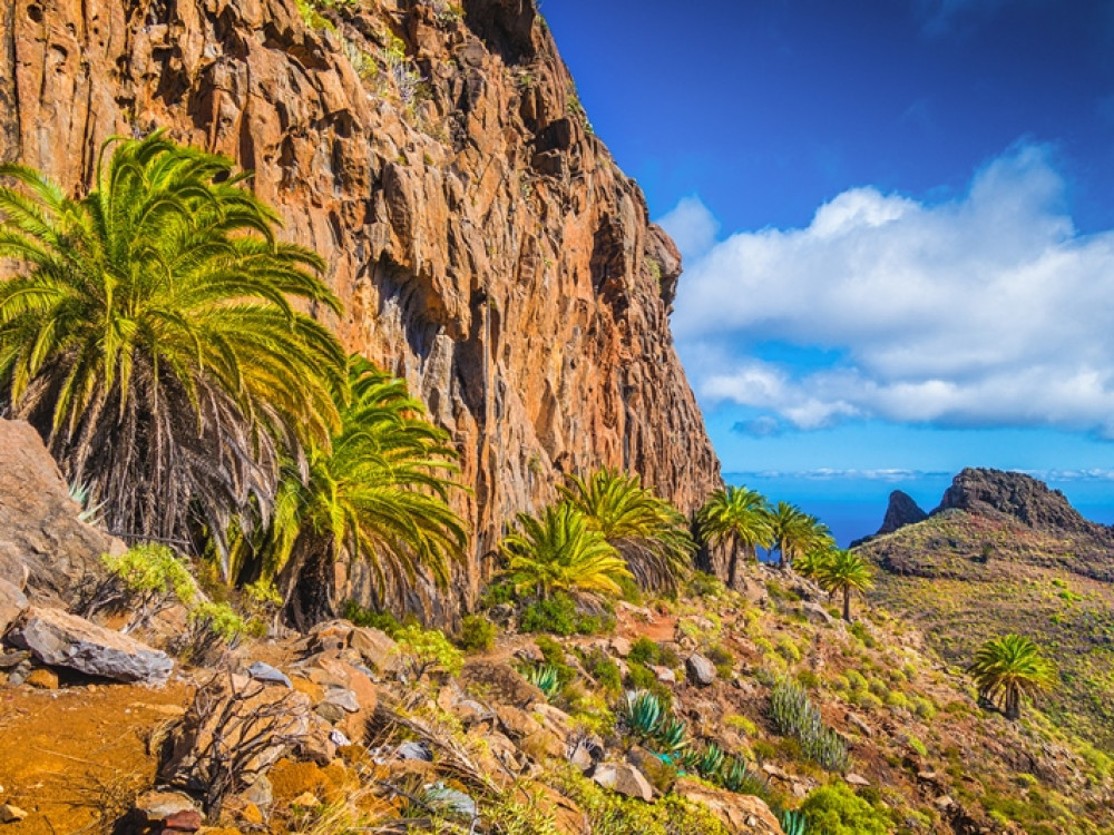 La Palma natuur