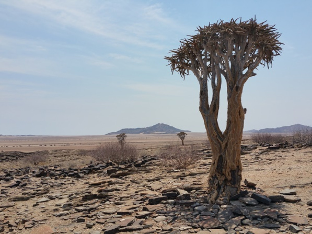 Route Sesriem - Walvisbay