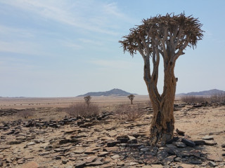 Afbeelding voor Namib Naukluft Park
