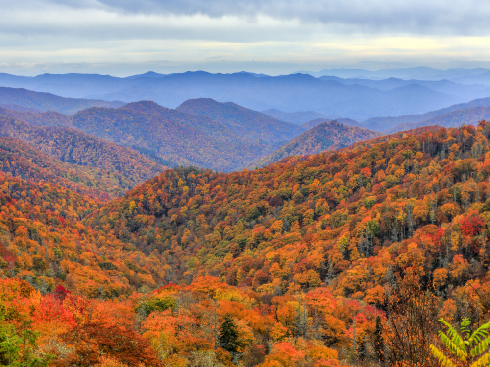 Great Smoky Mountains