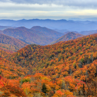 Afbeelding voor Great Smoky Mountains