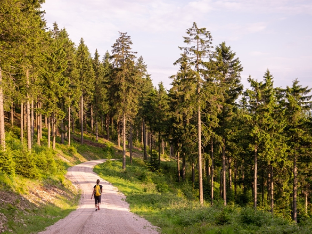 Thuringen natuur