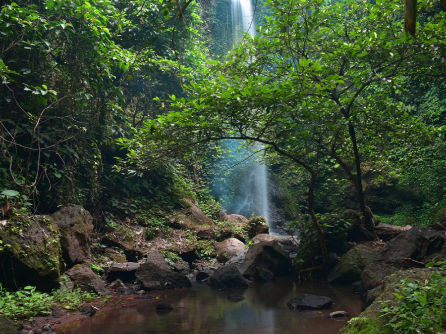 Natuur op Sumatra