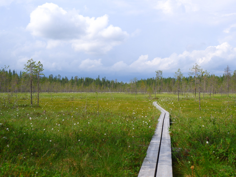 Natuur in Taivalkoski