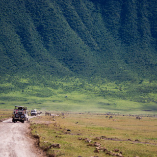 Afbeelding voor Ngorongoro krater