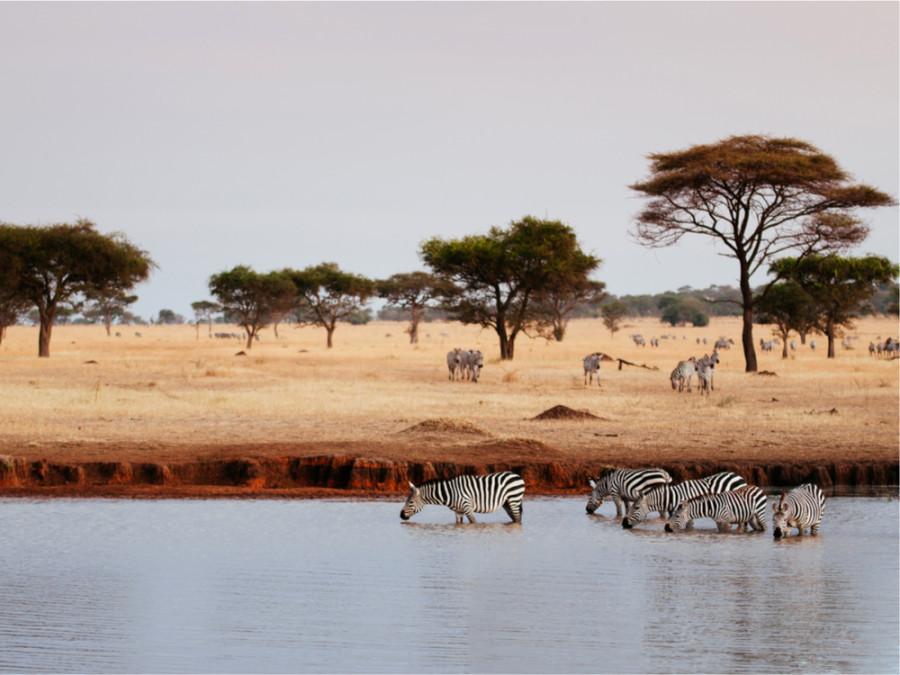 Mooiste plekken Serengeti
