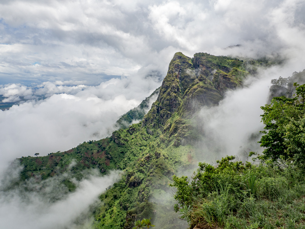 Usambara in Tanzania