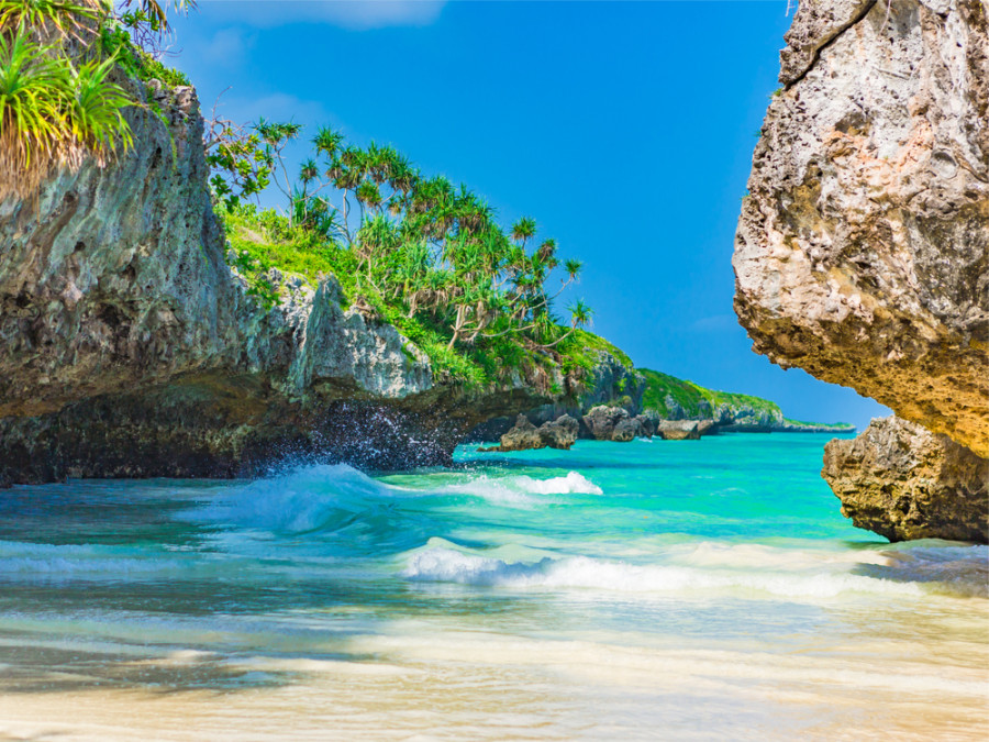 Natuur op Zanzibar