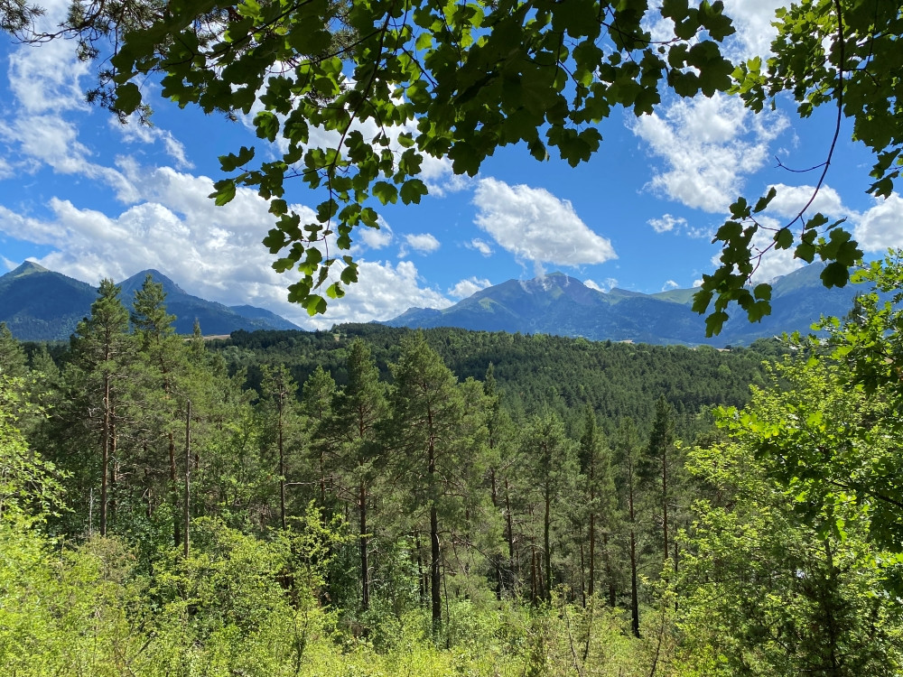 Natuur bij Terre Vivante